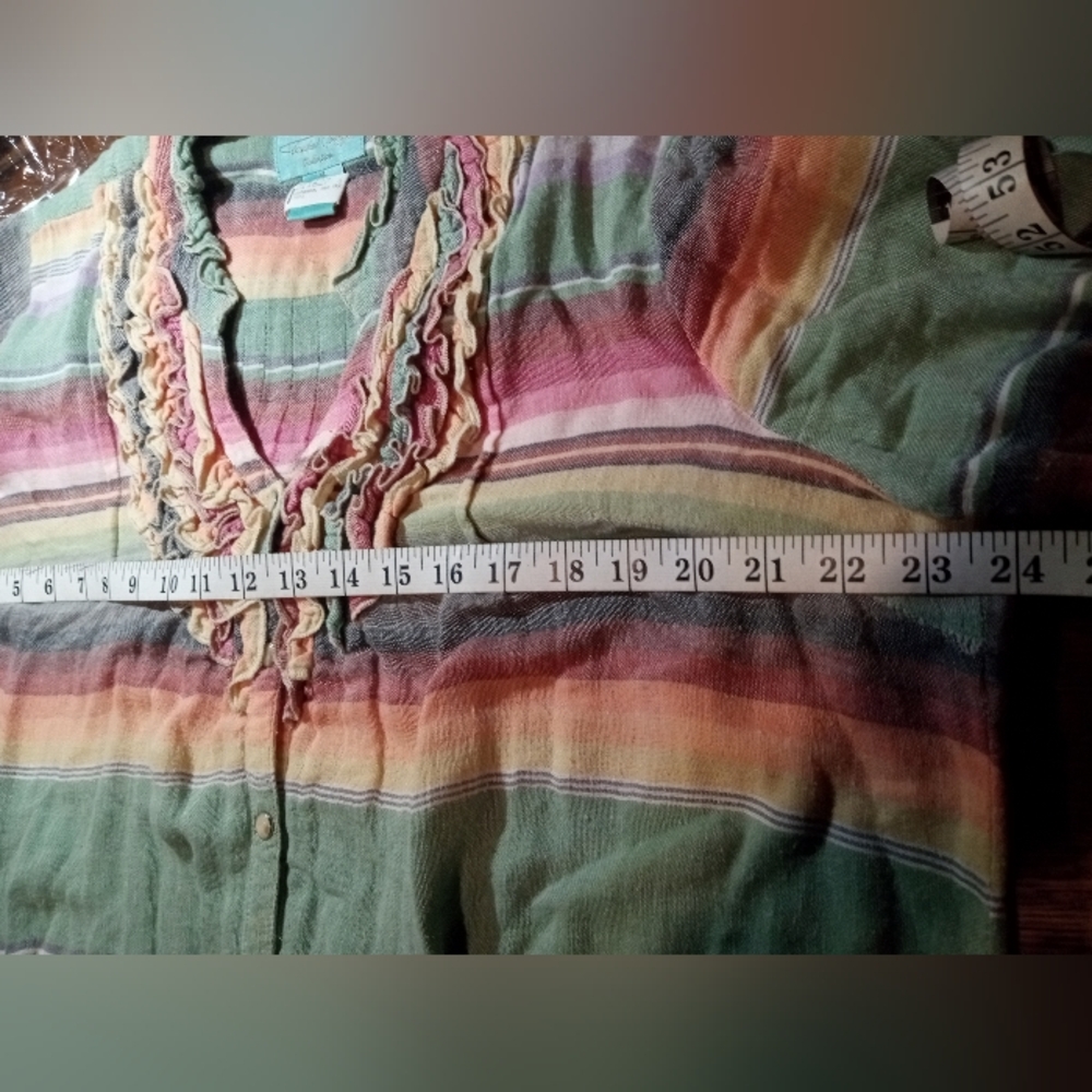 Tasha Polizzi Multicolor Striped Button Down Shirt - Picture 12 of 12
